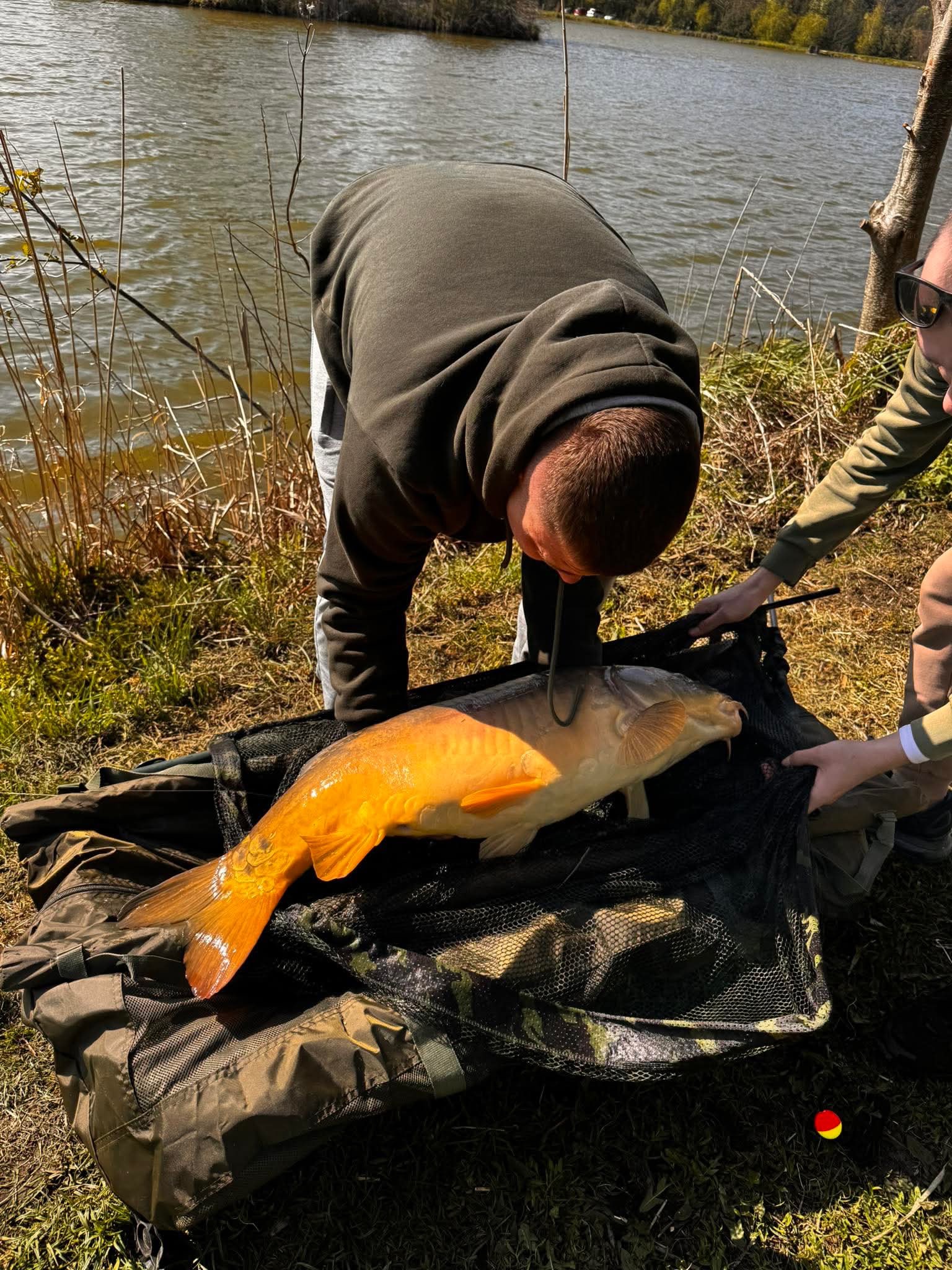 Zdjęcie: Taki maluszek lekko ponad 11kg