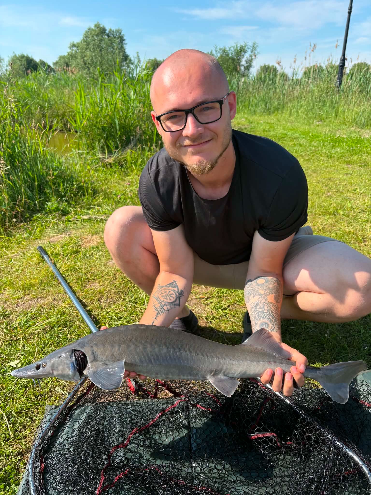 Jesiotr 6kg